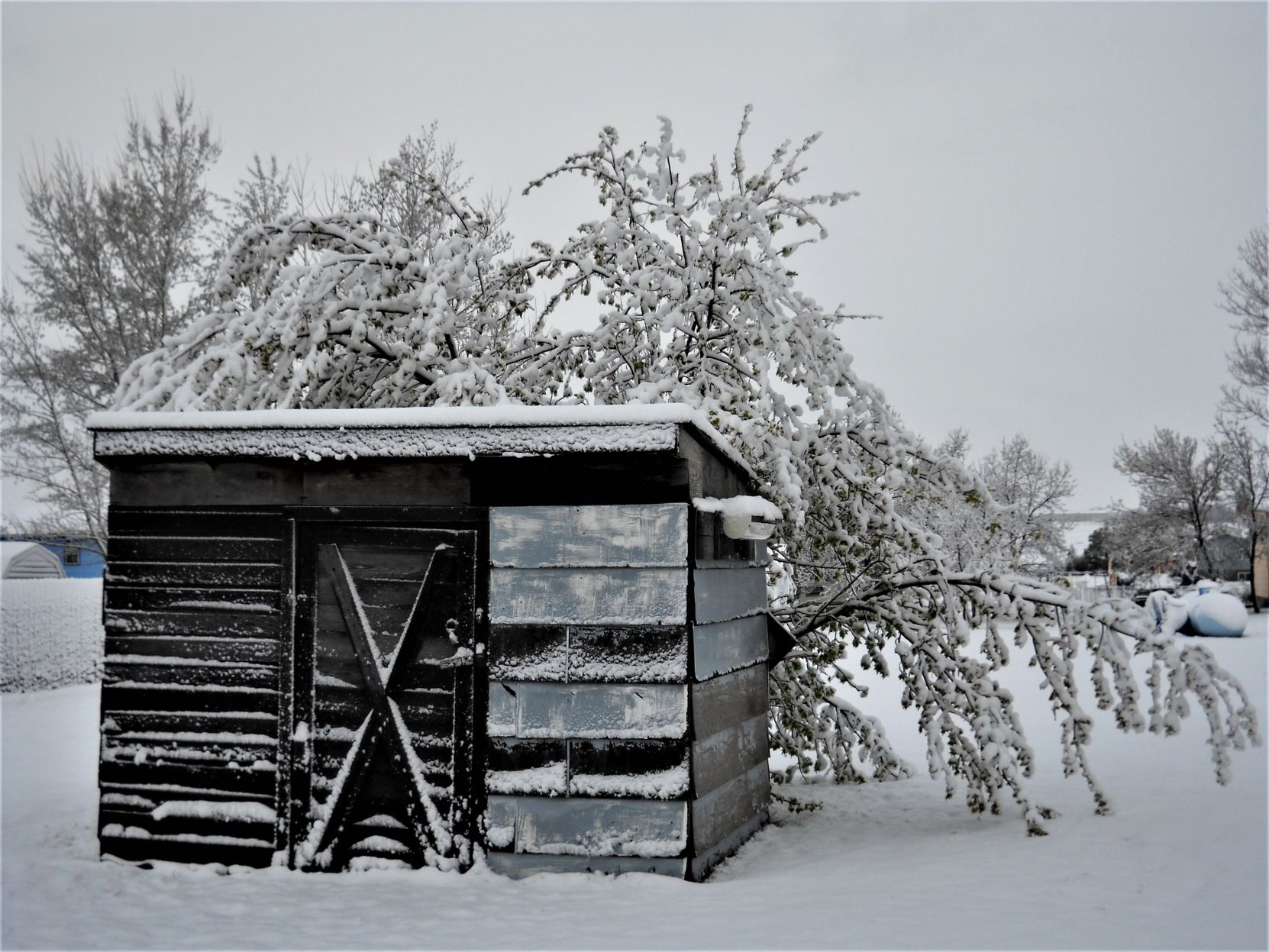 Snow fall
